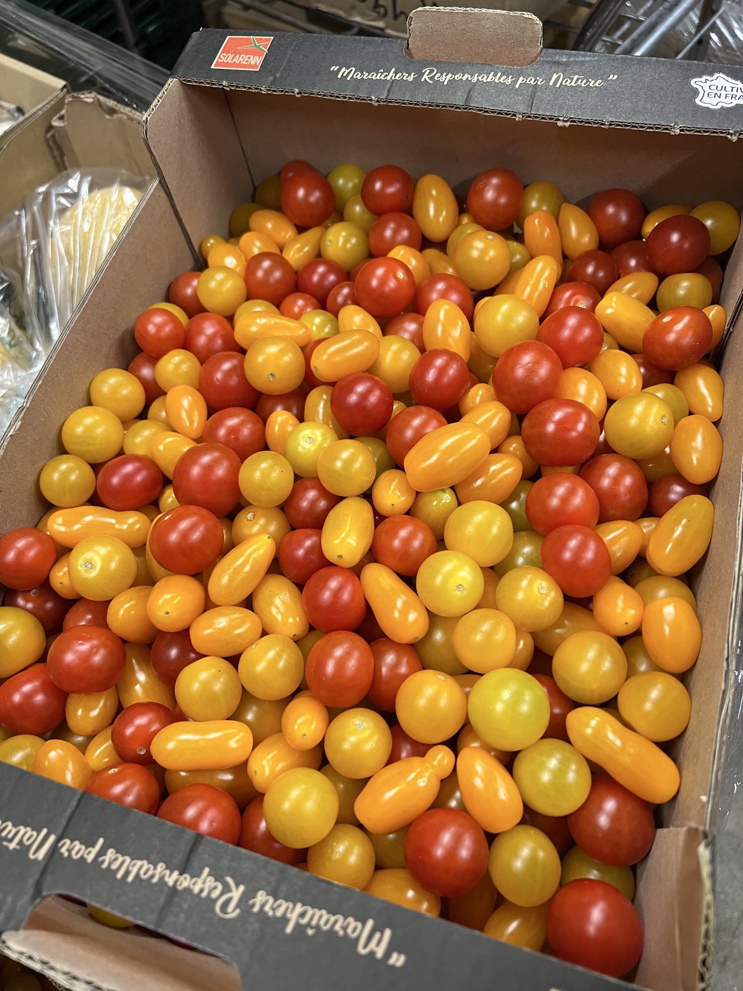 4 kg tomat mix