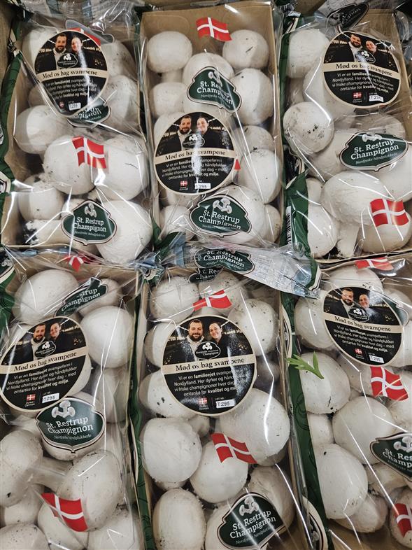 Danske svampe